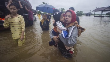 Hutan Kalimantan Hilang, Banjir Menerjang